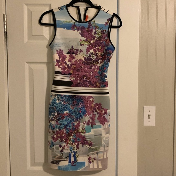 Clover Canyon Dress - Picture 1 of 3